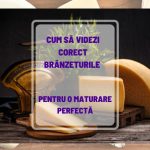 Brânzeturi Maturate Acasă: Cum să le Videzi Corect pentru Maturare Perfectă