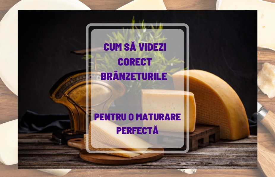 Brânzeturi Maturate Acasă: Cum să le Videzi Corect pentru Maturare Perfectă