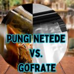 Pungi gofrate vs. pungi netede – care sunt diferențele și când să le folosești